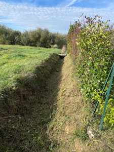 Photo de galerie - Débroussaillage d'un fossé et tailles des haies extérieures 
