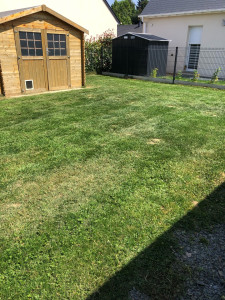 Photo de galerie - Tonte 