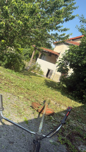 Photo de galerie - Débroussaillage 