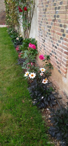 Photo de galerie - Plate bande 