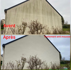 Photo de galerie - Traitement de façade