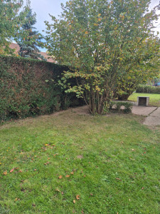 Photo de galerie - Taille d'une haie de thuya 