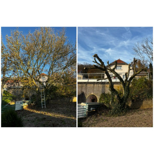 Photo de galerie - Taille Magnolia 