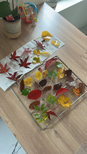 Photo de galerie - Activité automne. nous avons ramassé des feuilles mortes, nous les avons laissé sécher et les avons plastifié, puis nous les avons accroché aux fenêtres pour faire une décoration automnale.