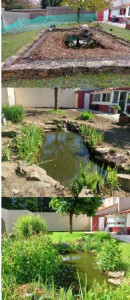 Photo de galerie - Transformation d'un bassin plus jardin 200m2
