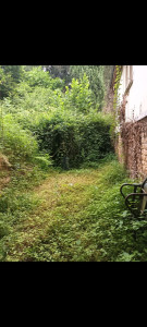 Photo de galerie - Photo avant débroussaillage 