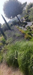 Photo de galerie - Jardinier