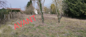 Photo de galerie - Débroussaillage 