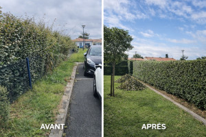 Photo de galerie - ✔️ Coupe nette ✔️ Mise à hauteur ✔️ Dégagement des bordures ✔️ Nettoyage du chantier