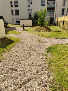 Photo de galerie - Tonte de pelouse - Débroussaillage