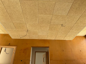 Photo de galerie - Plafond  organic