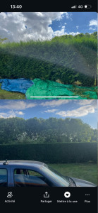 Photo de galerie - Taille du jour 