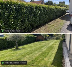 Photo de galerie - Une cliente m’a contacté pour entretenir son jardin. J’ai réalisé la taille de sa haie et la tonte de sa pelouse, avec nettoyage des abords. Travail réalisé avec soin pour un extérieur propre et agréable.
