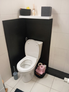 Photo de galerie - Remplacement wc plus habillage 