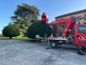 Photo de galerie - Sculpte-haies