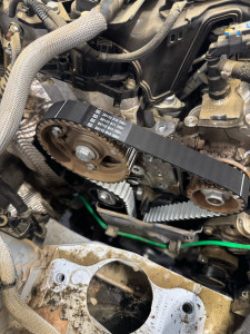 Photo de galerie - Distribution 