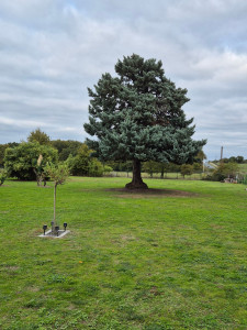 Photo de galerie - Tonte toutes superficies 