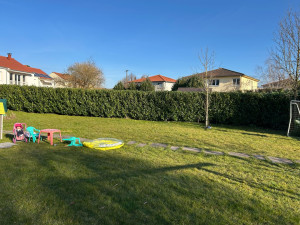 Photo de galerie - Taille de haies