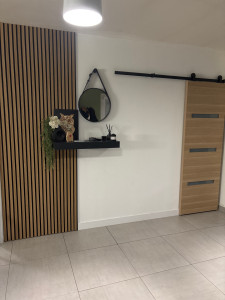 Photo de galerie - Réalisation d’une cloison avec pose d’une porte coulissante et décoration murale 