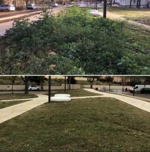 Photo de galerie - Tonte de pelouse - Débroussaillage
