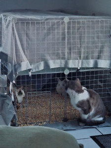 Photo de galerie - Je vous présente sandro