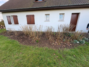 Photo de galerie - Taille d’hortensia