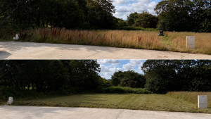 Photo de galerie - Débroussaillage d’un terrain 