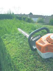 Photo de galerie - Taille de haie 