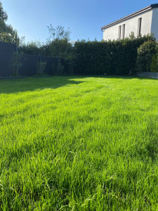 Photo de galerie - Après 