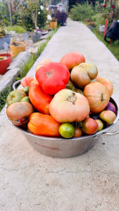 Photo de galerie - Jardinier