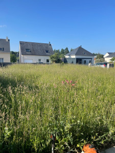 Photo de galerie - Tonte et débroussaillage 