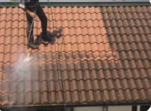 Photo de galerie - Nettoyage toiture