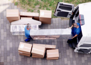 Photo de galerie - Savoir Faire Avec Sérénité 