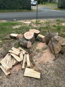 Photo de galerie - Fendage de bûche au merlin, après abattage 