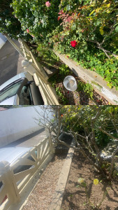 Photo de galerie - Un avant / après d’un débroussaillage 