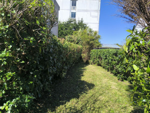 Photo de galerie - Taille de haies et d'arbustes