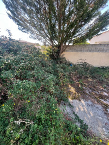 Photo de galerie - Débroussaillage 