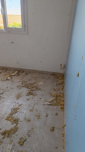 Photo de galerie - Réparation et nettoyage de toiture 