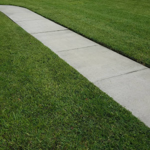 Photo de galerie - Tonte + bordure 