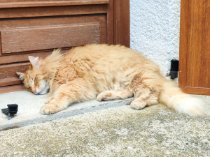 Photo de galerie - Pépère de 8 ans