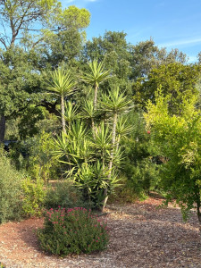 Photo de galerie - Paysagiste - Aménagement du jardin