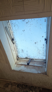 Photo de galerie - Couverture - Toiture