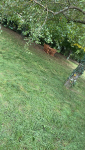 Photo de galerie - Tonte de pelouse - Débroussaillage