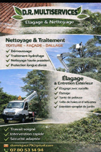 Photo de galerie - Elagage et coupe d'arbres
