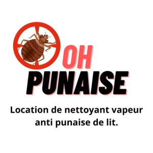 Photo de galerie - Nettoyeur vapeur (outillage)