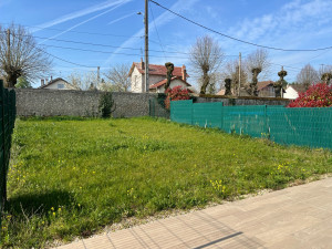 Photo de galerie - Tonte de pelouse - Débroussaillage