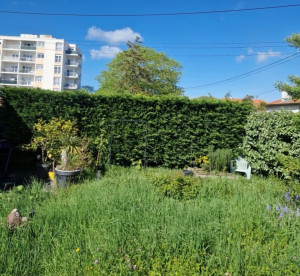 Photo de galerie - Taille de haies et d'arbustes