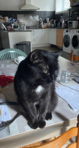 Photo de galerie - Visite à domicile 