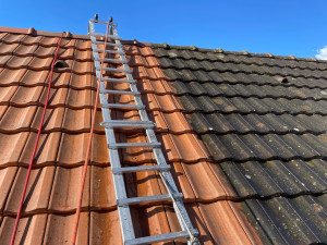 Photo de galerie - Couverture - Toiture