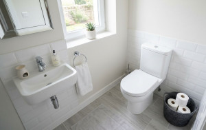 Photo de galerie - Nettoyage complet et désinfection approfondie des sanitaires : lave-mains, WC et sols pour une hygiène irréprochable.